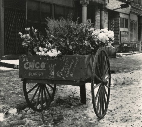 Leo Goldstein - Florist's Cart, East 100th Street, 1951- Howard Greenberg Gallery