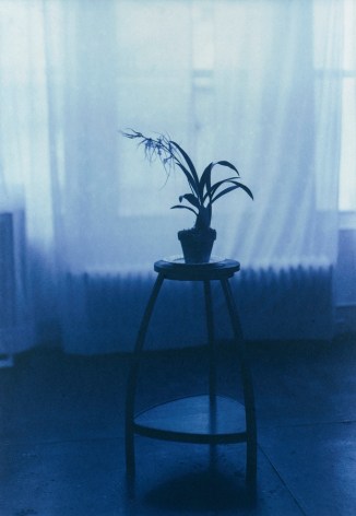Kenro Izu - Blue #879B, 2002 - Howard Greenberg Gallery
