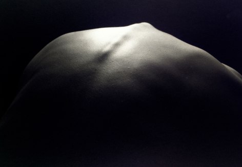 Kenro Izu - Still Life #449, 1993 - Howard Greenberg Gallery