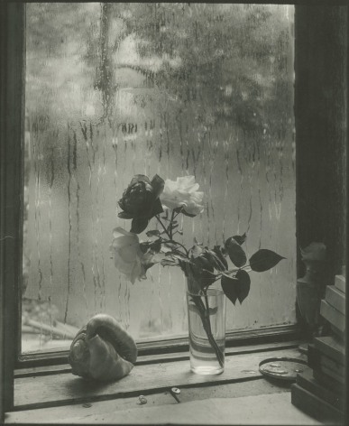 Josef Sudek, Last Rose, 1956, Bard x HGG, Howard Greenberg Gallery, 2019