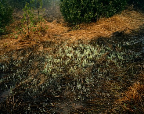 Edward Burtynsky: Essential Elements (1981 – 2012)