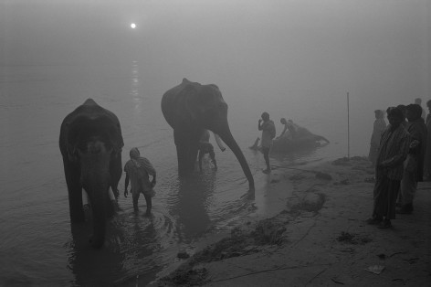 Don McCullin, Elephant Festival, The River Gandak, India, 1991, Howard Greenberg Gallery, 2019