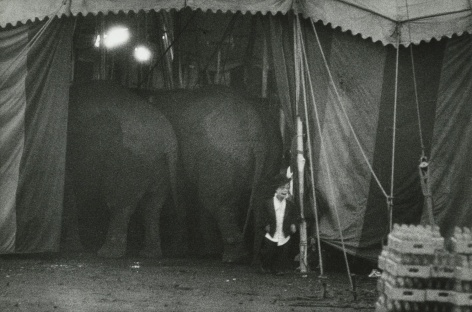 Bruce Davidson, Circus 1958, Howard Greenberg Gallery, 2019