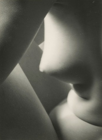 Imogen Cunningham - Triangles, 1938 - Howard Greenberg Gallery