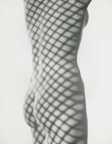Erwin Blumenfeld, Nude with Screen Shadow, New York, 1948, Howard Greenberg Gallery, 2020