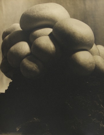 John Vanderpant - Untitled (variant of Mushrooms), c.1930 - Howard Greenberg Gallery