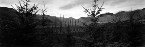 Frank Gohlke: Mount St. Helens 2005 howard greenberg gallery