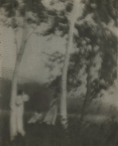 George H. Seeley - White Trees, c.1910 - Howard Greenberg Gallery - 2019