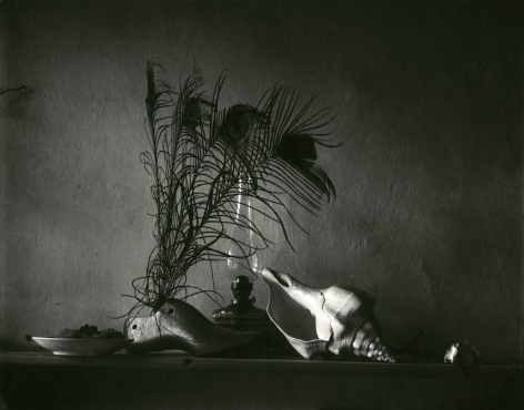 Josef Sudek - Still Life in the Style of Caravaggio, First Variation, 1956 - Howard Greenberg Gallery