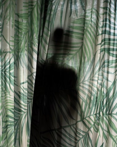 Jasmine Clarke, Palm Curtains, 2018, Bard x HGG, Howard Greenberg Gallery, 2019