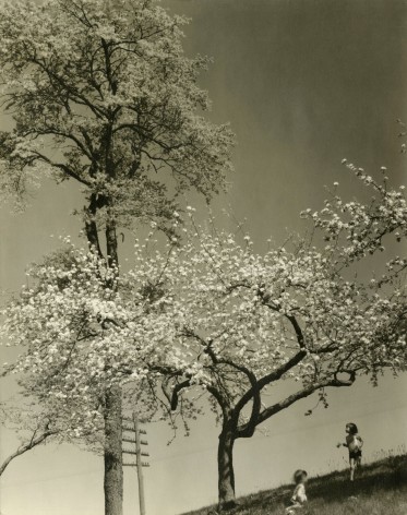 Edward Steichen - Singing Wires and Buzzing Bees, 1929 - Howard Greenberg Gallery