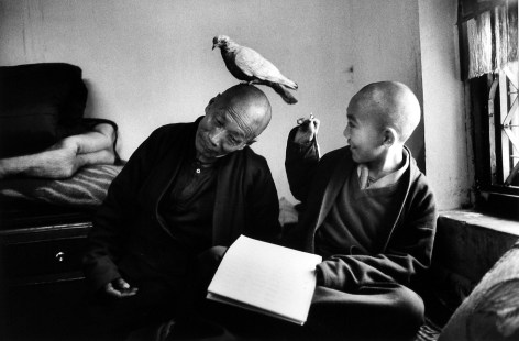 Martine Franck - Tulku Khentrol Lodro Rabsel with his tutor Llagyel in the Shechen monastery, Bodnath, Nepal, 1996 - Howard Greenberg Gallery
