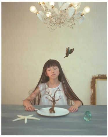 Breezeless, Haruhi Fujii, Les r&ecirc;ves d&rsquo;un oiseau solitaire, 2009, Sous Les Etoiles Gallery