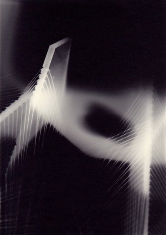 Richard Caldicott, Photogram (7), 2012, Sous Les Etoiles Gallery