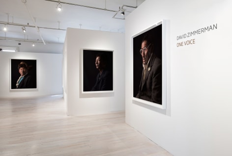 David Zimmerman, One Voice, 2013 Exhibition, Sous Les Etoiles Gallery
