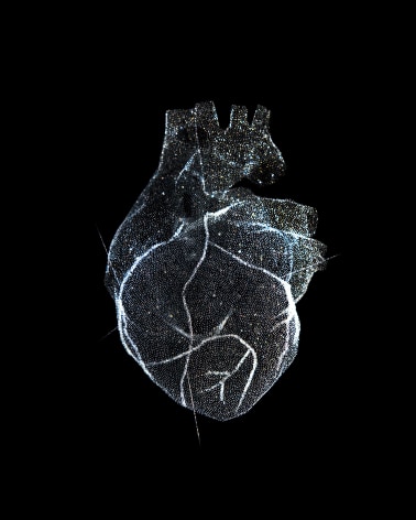 Reiner Riedler, Livesaving Machines, Glass Model of the Heart, 2012, Sous Les Etoiles Gallery