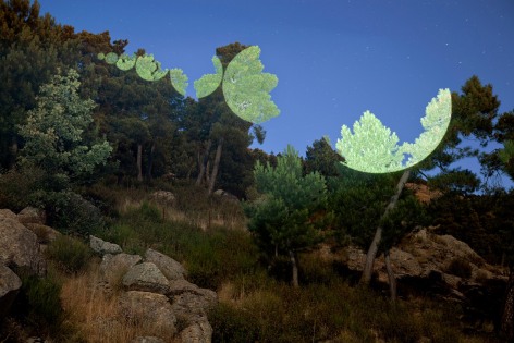 Javier Riera, light, projection, landscape, nature, Sous Les Etoiles Gallery