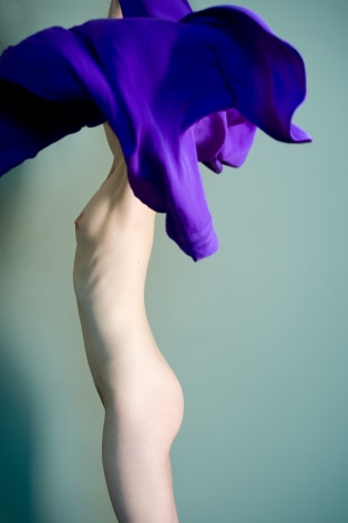 Sophie Delaporte, Nudes, Model with face obscured and with purple fabric, 2010, Sous Les Etoiles Gallery