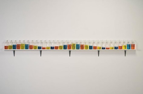 ALT=&quot;Tony Feher, (Singer of Many), 2008, 31 glass bottles with screw caps, water, food color and painted wood shelf&quot;