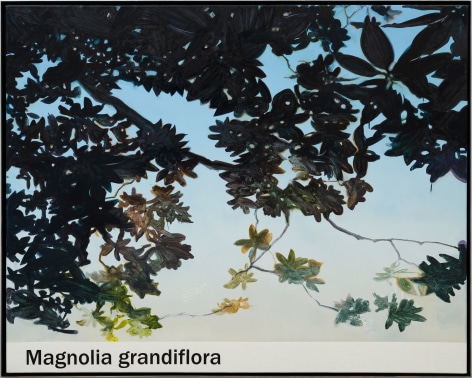 ALT=&quot;Rob Reynolds, Magnolia, 2021, Oil, alkyd and acrylic polymer paint on canvas in welded aluminum artist's frame&quot;
