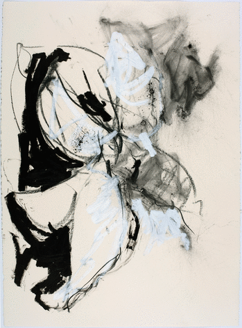 ALT=&quot;Joseph Havel, First Flowers (S.F.) 2, 2017, Graphite and oil paint on paper&quot;