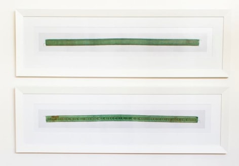  Two Photographs of Both Sides of a Green Ribbon, 2008, 