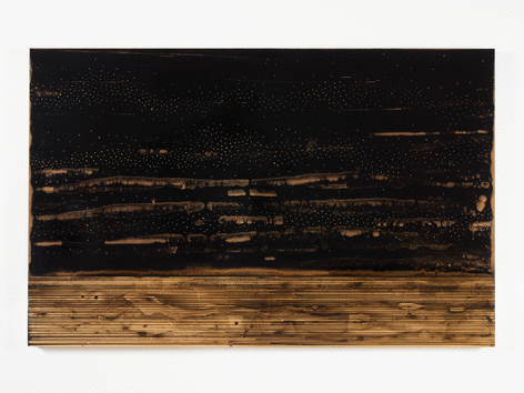 ALT=&quot;Teresita Fernandez, Golden (Nocturne 1), 2015, Gold chroming and India ink on wood panel&quot;