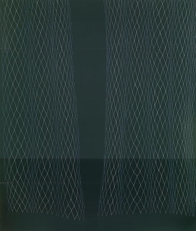  &nbsp;, Dark Green Lace Curtain, Slight Cupping, 2008