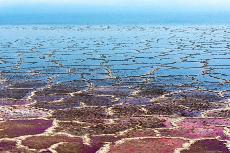 Diane Tuft, Silent Sea, 2022