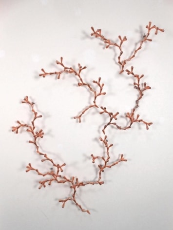 LORIS CECCHINI, The Developed Seed (Copper Version I), 2014