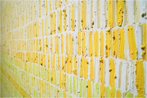 Ana D' Castro, Décomposé series: "Lilies”, 2017