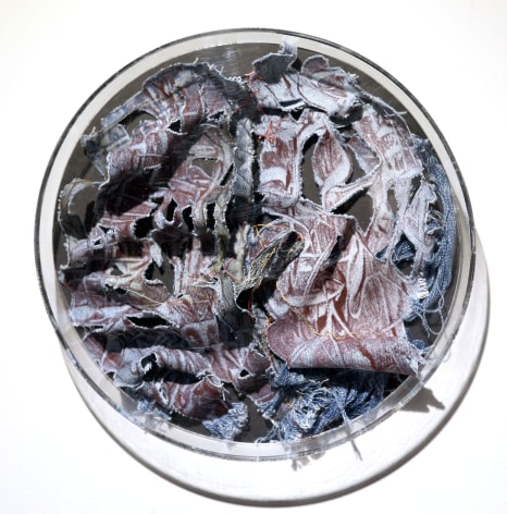 The Talisman II , 2025, Denim, Handcut