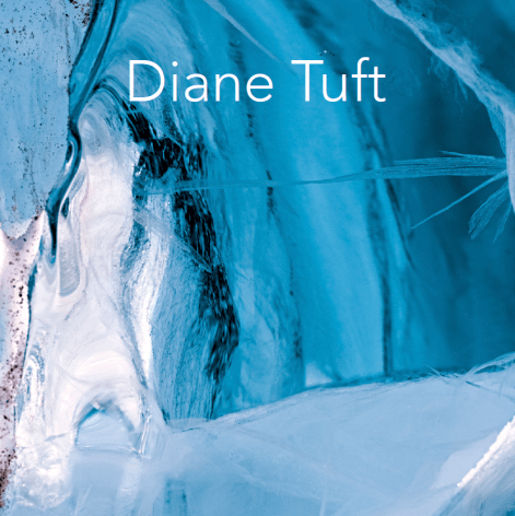 Diane Tuft: Frozen in Time- Photographs from the Arctic and the Antarctica
