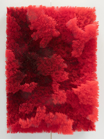 Red Straws, 2019, Straws on wood panel&nbsp;with metal frame