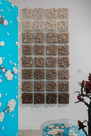 Abu Dhabi Art Fair 2024