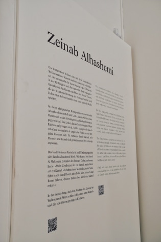 Zeinab Alhashemi: There May Exist