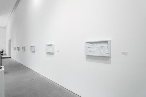 Wim Delvoye: "Wim Delvoye"