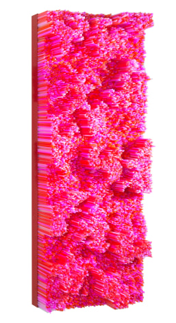 Straws, 2015 Straws on Wood Panel with Metal Frame