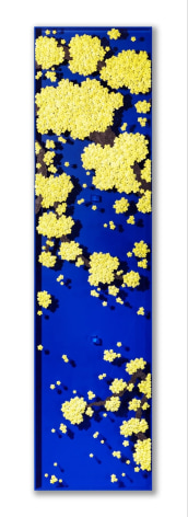 Ran Hwang, Becoming Again_BY2, 2021