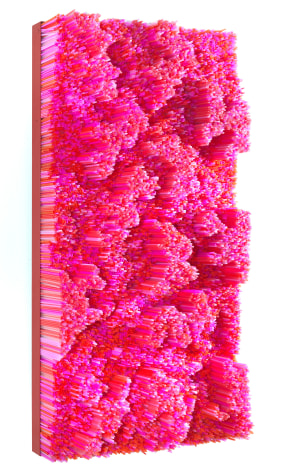 Straws, 2015 Straws on Wood Panel with Metal Frame