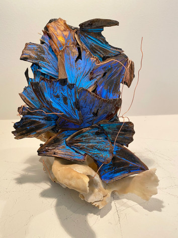 New Portrait, 2020, blue morpho butterfly wings, copper, epoxy resin, bone, 7 &frac12;&rdquo; x 6 &frac12;&rdquo; x 6&rdquo;, $15,000