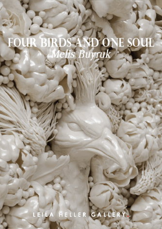 Melis Buyruk: Four Birds and One Soul