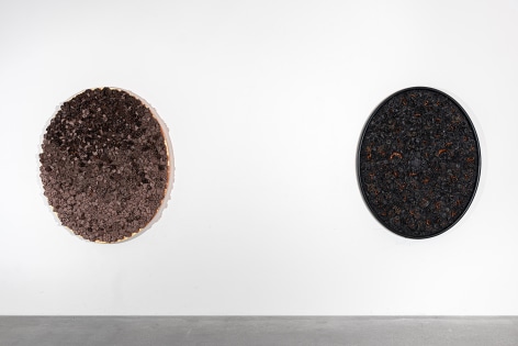 Melis Buyruk: Four Birds and One Soul