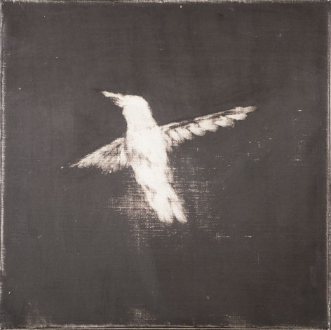 Untitled, 2015, Oil on linen