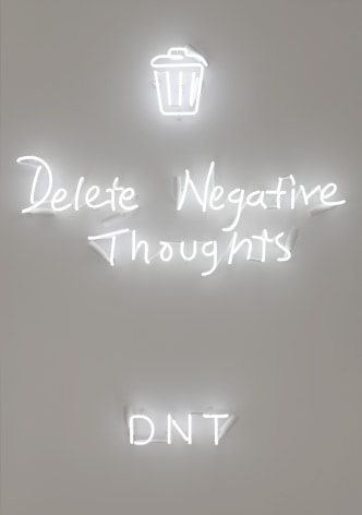 DNT, 2018, Neon mounted on metal