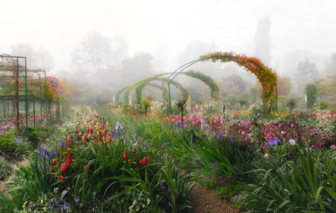Giverny: 01, 2014, Archival Pigment Print; Signed on Verso