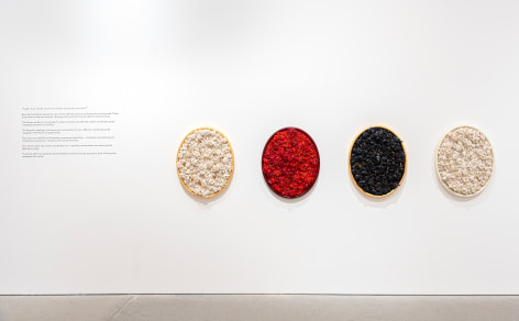 Melis Buyruk: Four Birds and One Soul