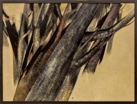 Untitled (From the tree trunk series),&nbsp;1976, Oil on canvas