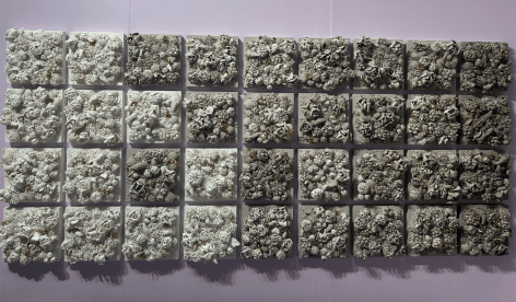 Melis Buyruk Habitat, Earth, 2024&nbsp;