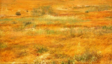 Shoja Azari and Shahram Karimi